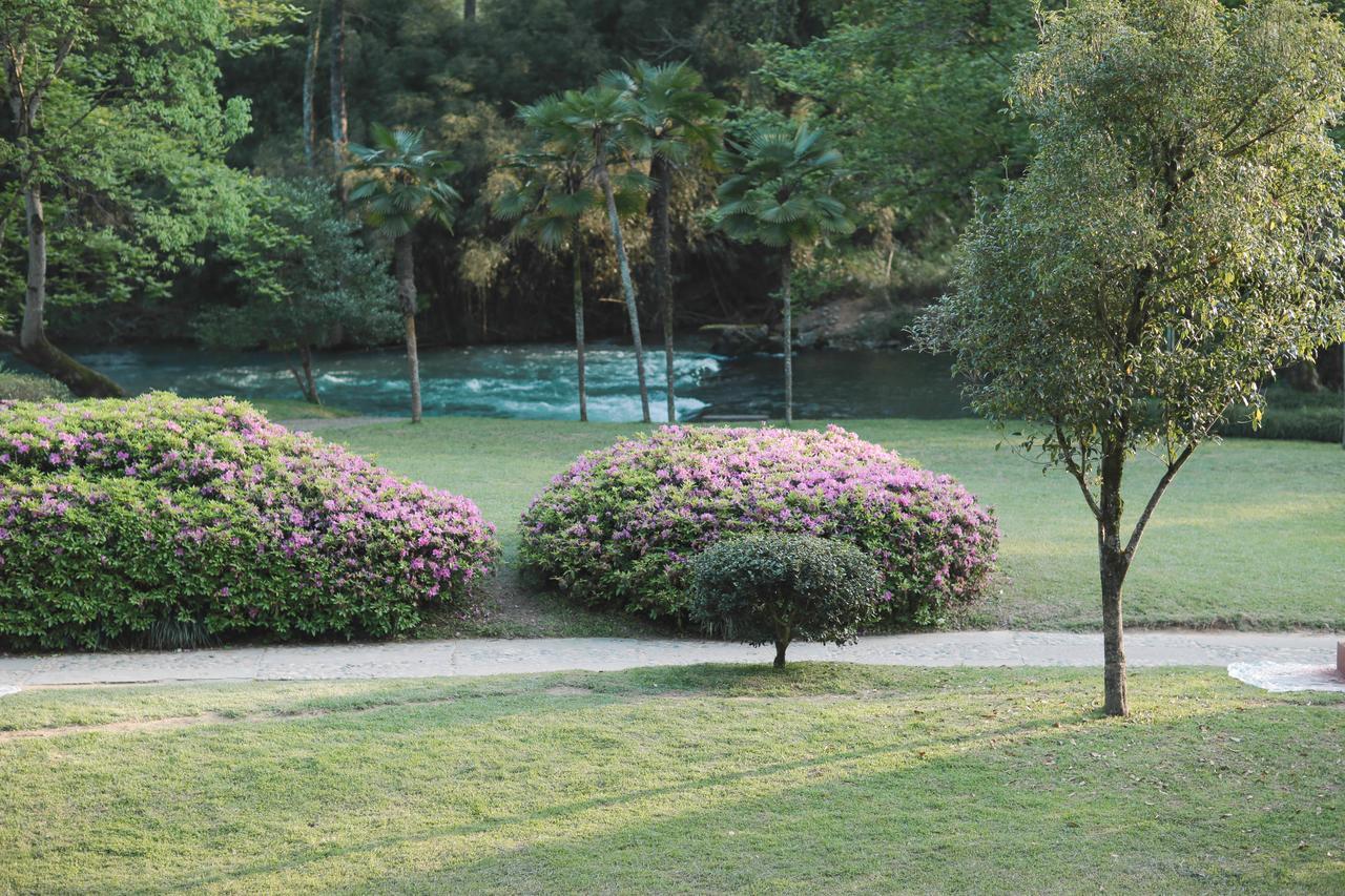 Wuyi Mountain Ancient Street Forest Living England Time Inn Wuyishan  Exterior foto